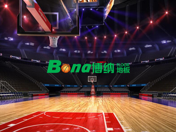 NBA專用籃球館